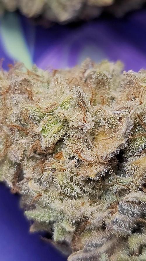 Banana Cherry Cookies 🍪 🍒 🍌