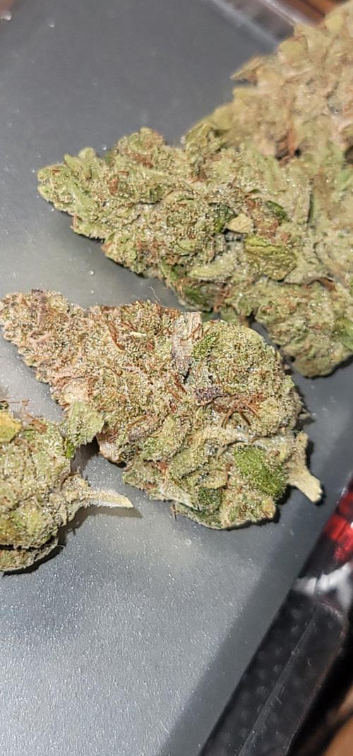 Blue dream 💭. Week 12