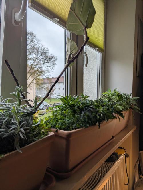 Fensterbank Projekt. Week 5