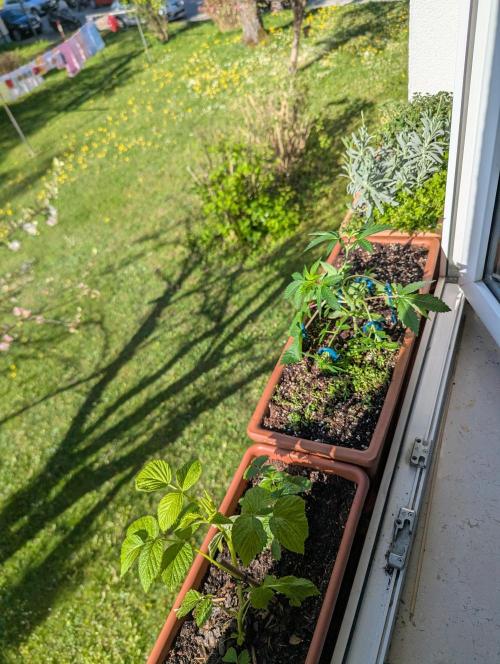 Fensterbank Projekt. Week 6