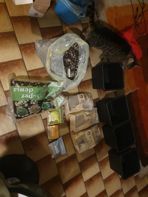 4x 42fastbuds mixed autoflower run#1. Week 0