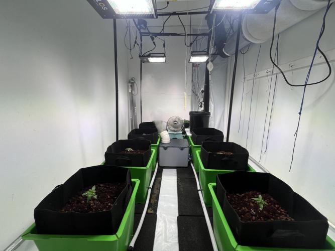 First run with the new Telos Dynamics. Week 1