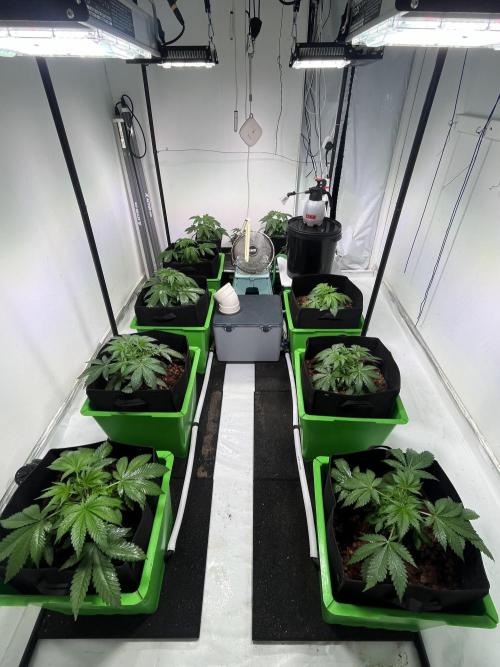 First run with the new Telos Dynamics. Week 2