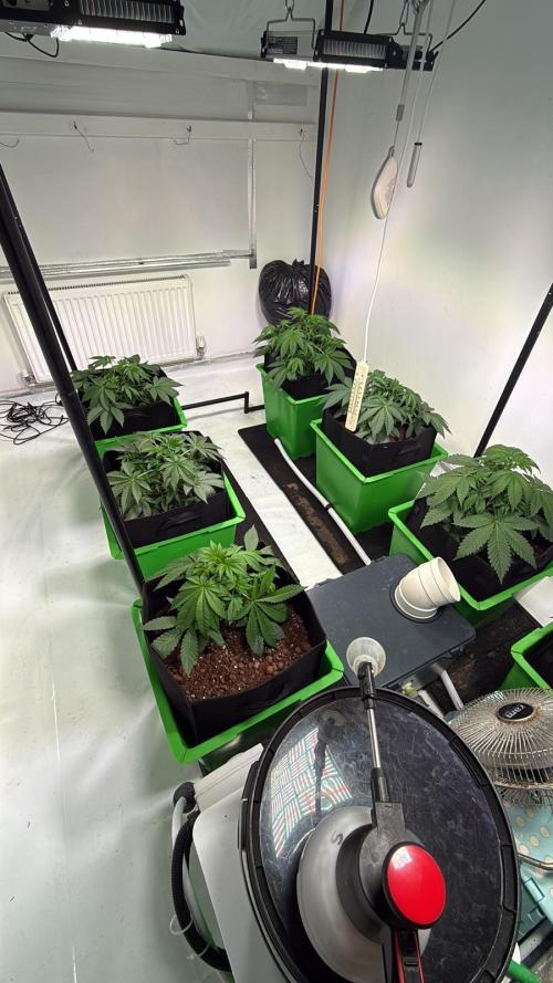 First run with the new Telos Dynamics. Week 3