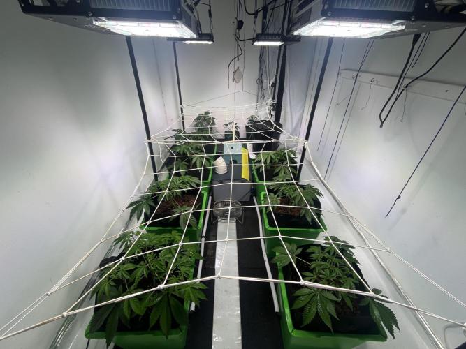 First run with the new Telos Dynamics. Week 3