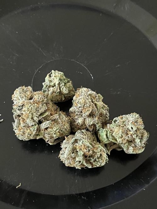 First run with the new Telos Dynamics. Week 13