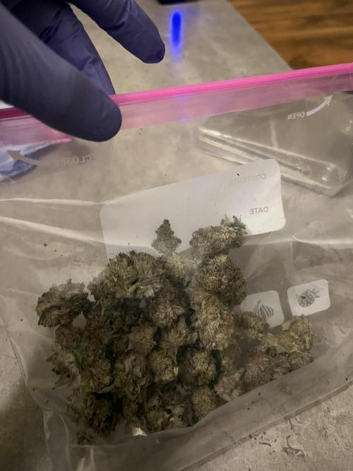 First run with the new Telos Dynamics. Week 13