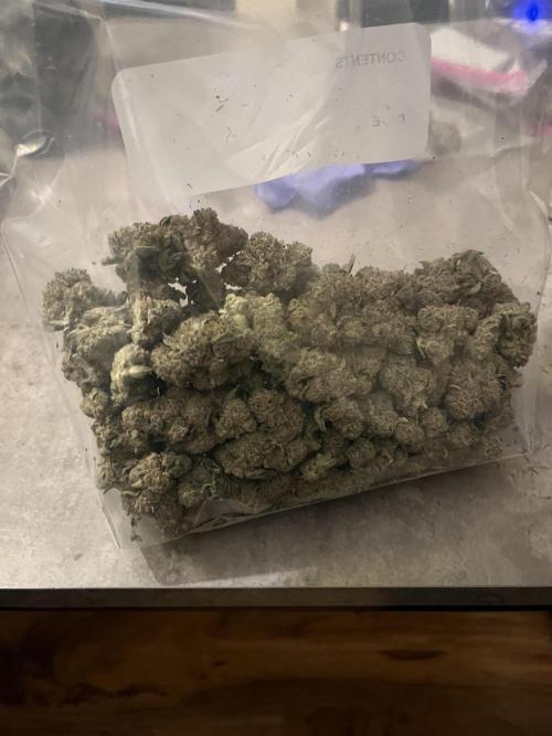 First run with the new Telos Dynamics. Week 13