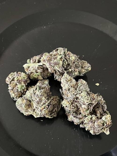 First run with the new Telos Dynamics. Week 13