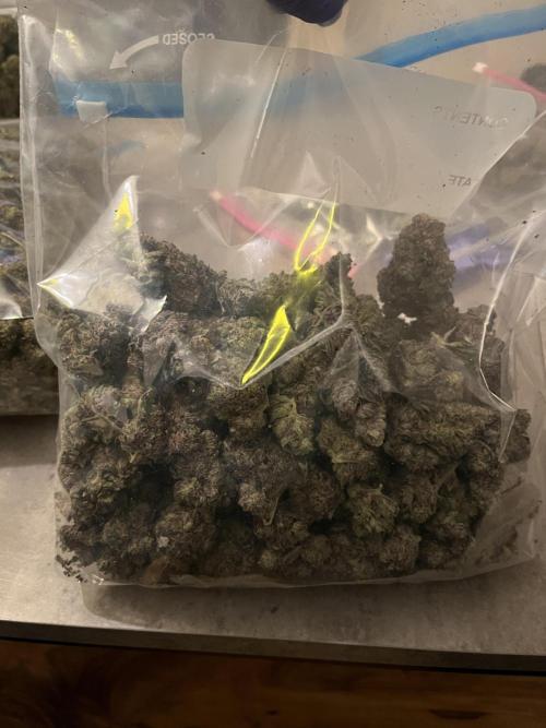 First run with the new Telos Dynamics. Week 13