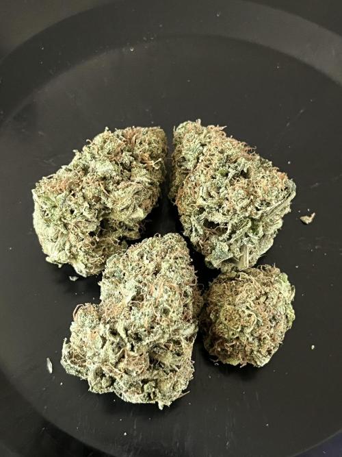 First run with the new Telos Dynamics. Week 13 - Z pheno