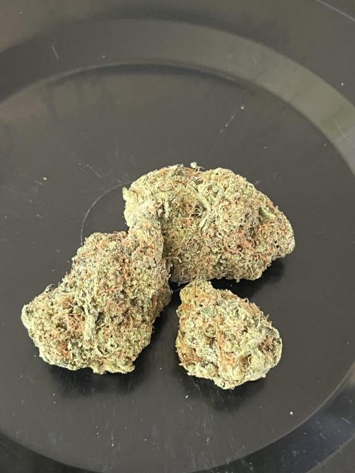 First run with the new Telos Dynamics. Week 13 - The winner 🥇 