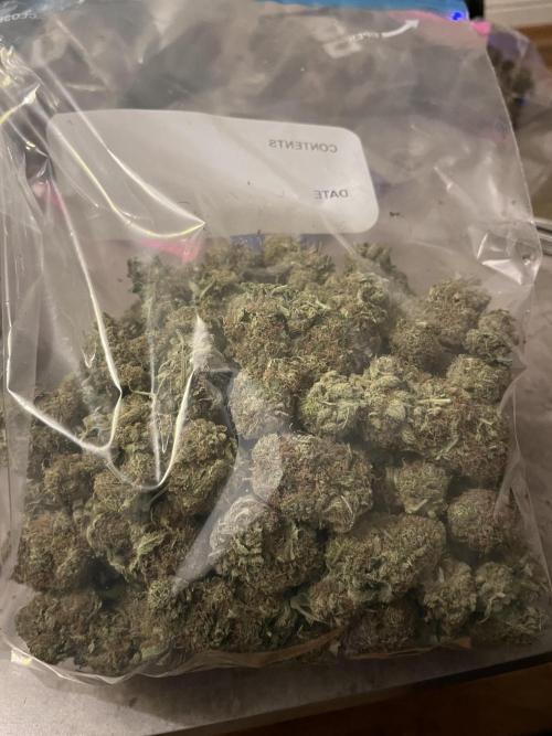 First run with the new Telos Dynamics. Week 13