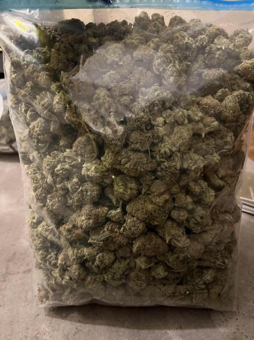 First run with the new Telos Dynamics. Week 13