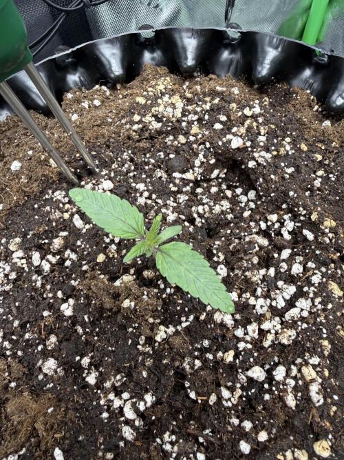 Versuch macht klug. Week 1