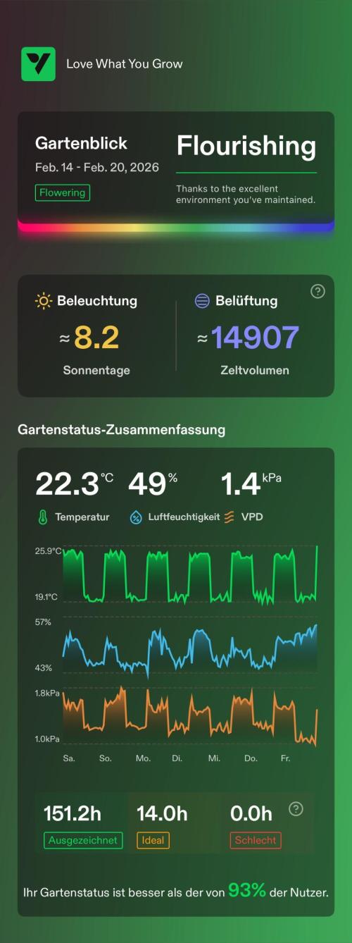 Versuch macht klug. Week 6