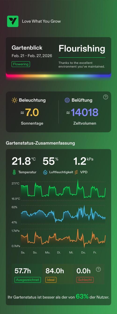 Versuch macht klug. Week 8 - ich ganz so gut, wie in der vorherigen Woche, aber ich arbeite daran. ;)
