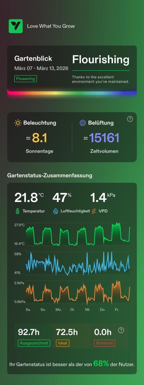 Versuch macht klug. Week 9