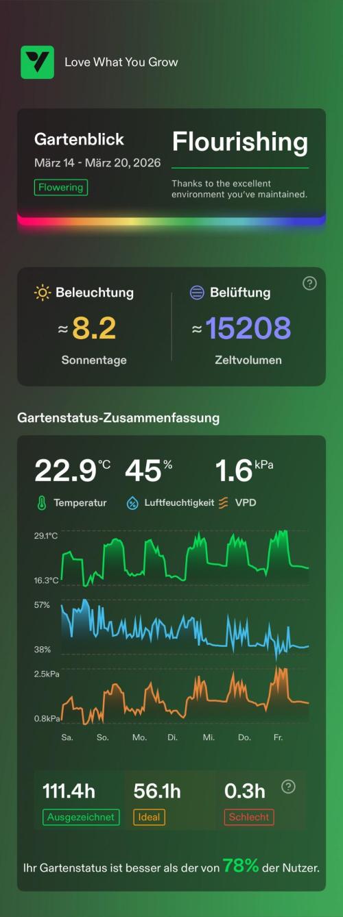 Versuch macht klug. Week 10