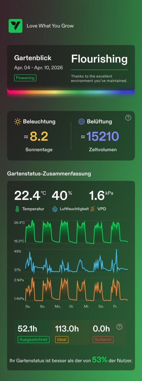 Versuch macht klug. Week 13