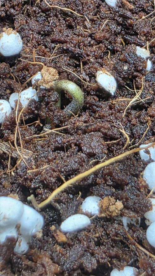 The Beginning. Week 0