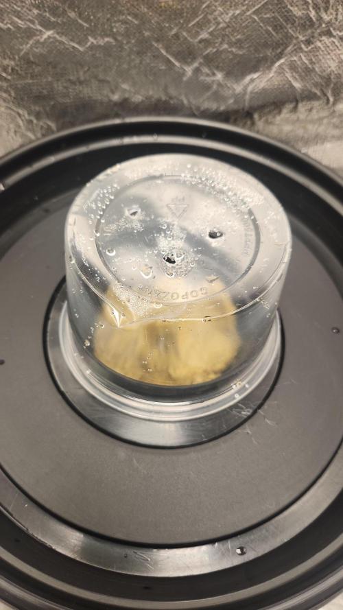 Melonade Runtz fotoperíodo. Week 1