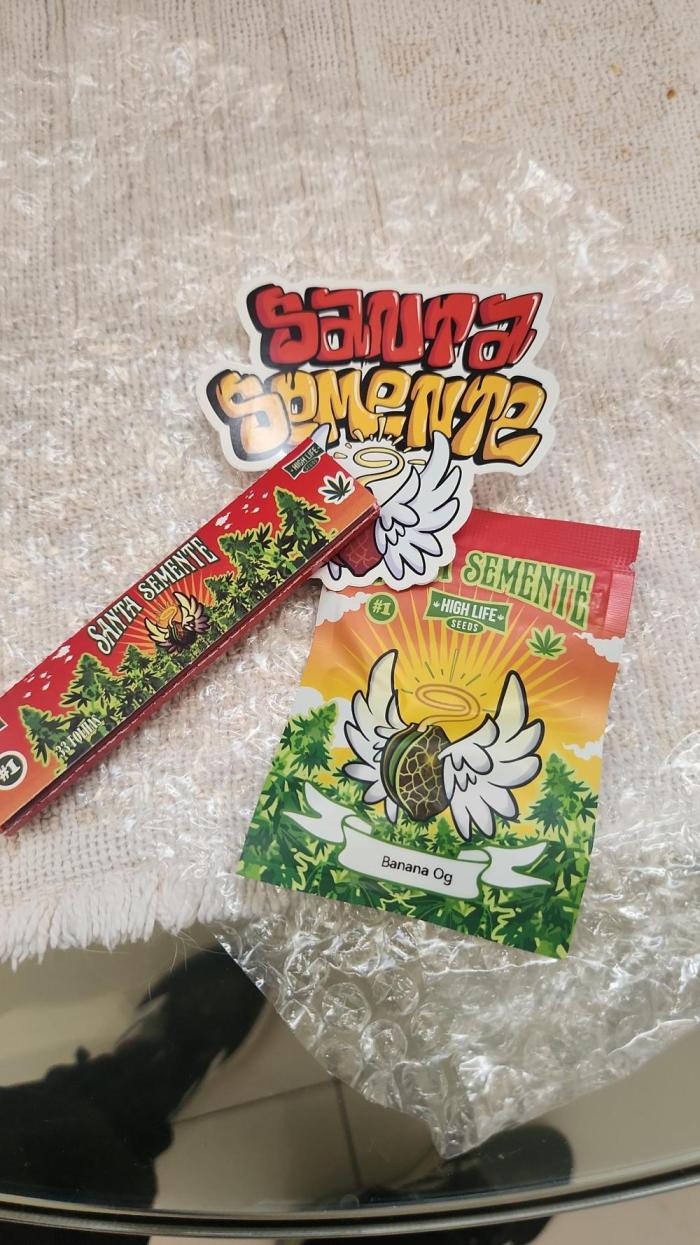 Banana OG - Santa semente. Week 0