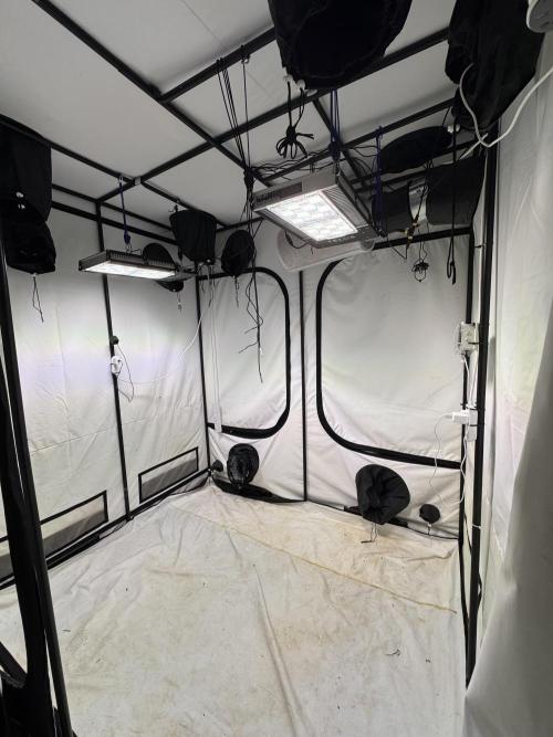 Telos grow. Week 2 - Setting up the tent with the telos  800 watt dynamics. These light are bright.