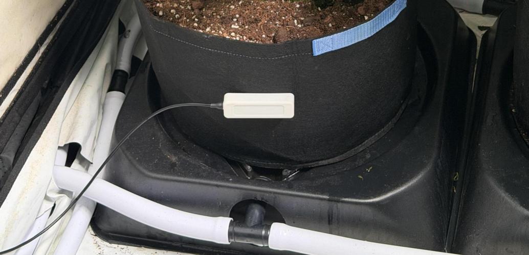 Telos 2. Week 3 - Added a new grow sensor in the room 