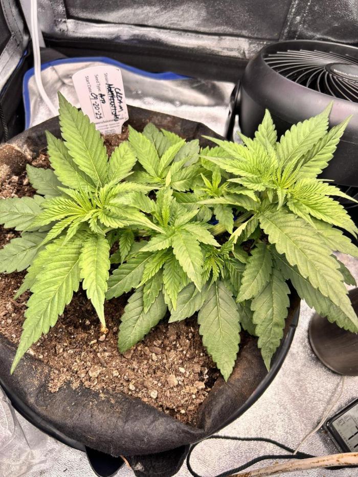 Out Da Ga Woods. Week 3 - I glad I didn’t trash her like so many people said to do