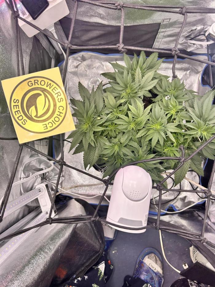 Out Da Ga Woods. Week 6