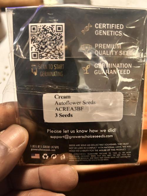 Out Da Ga Woods. Week 10