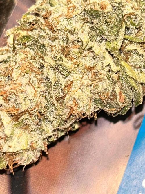 Out Da Ga Woods. Week 17