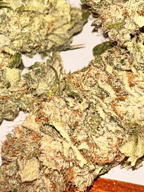 Out Da Ga Woods. Week 17