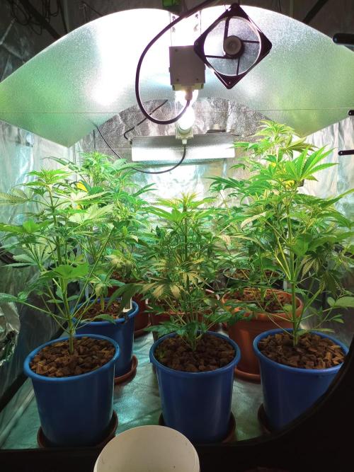 just jumped in. Week 3 - 07.november