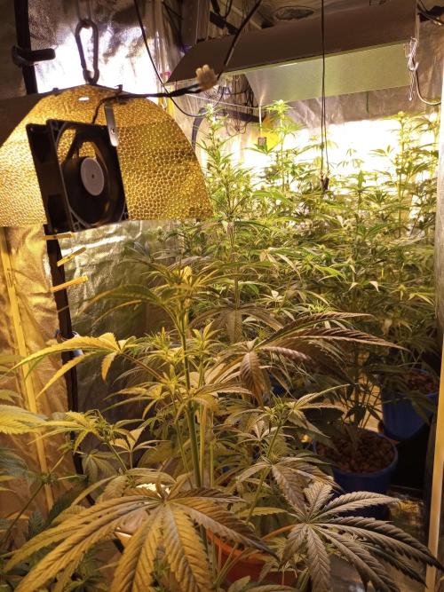 just jumped in. Week 3 - 20.november