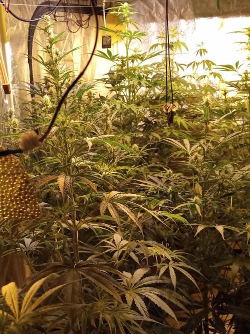 just jumped in. Week 3 - 20.november