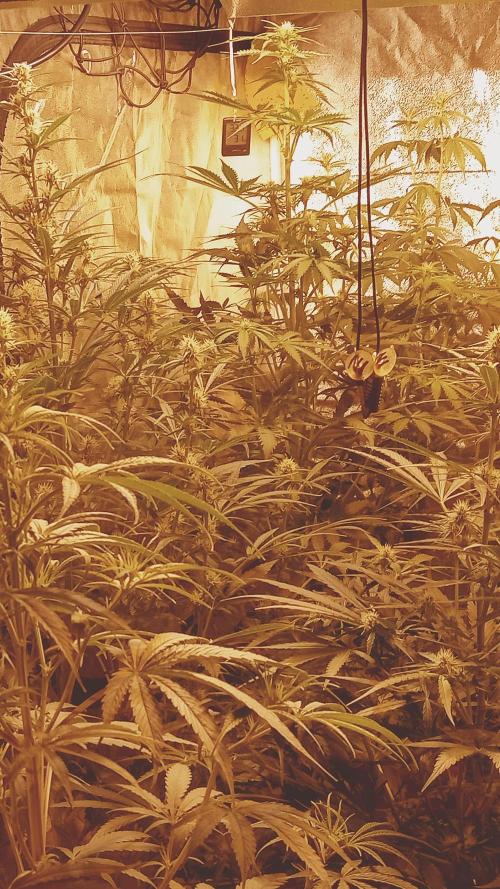 just jumped in. Week 3 - 20.november