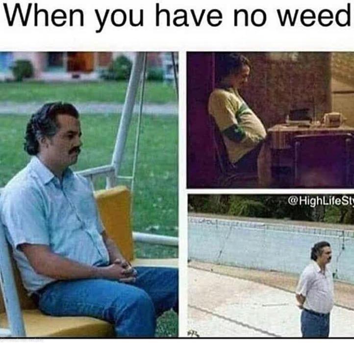 我的植物的时间. Week 0