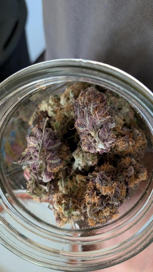 First Garden. Week 12