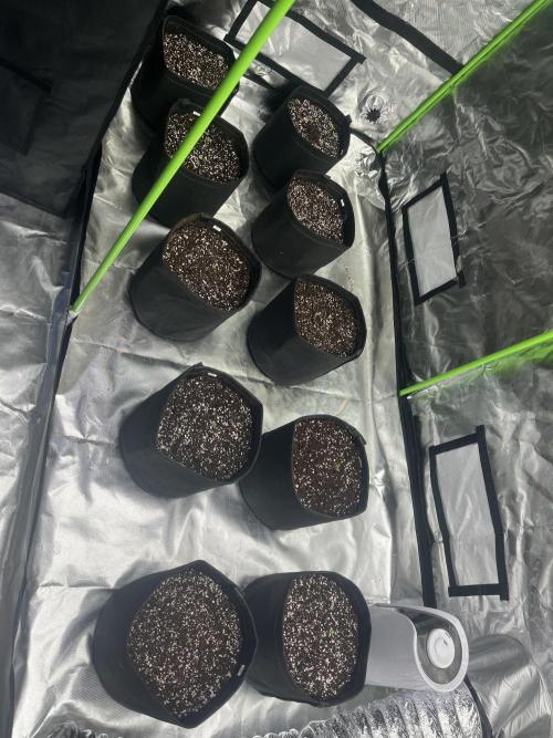 Northern lights. Week 0 - 25/11/25