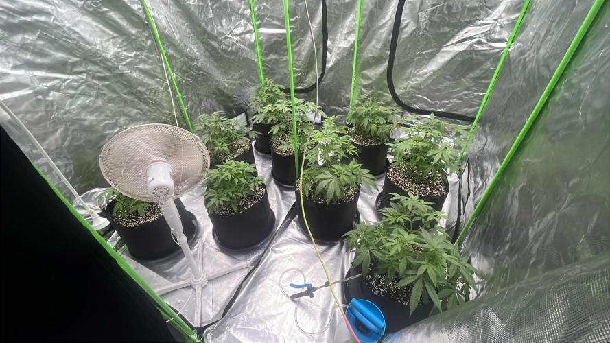 Northern lights. Week 6 - 6/1