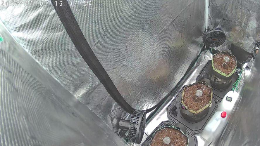 Purple Clouds. Week 0 - Day 1