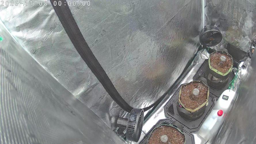 Purple Clouds. Week 0 - Day 2