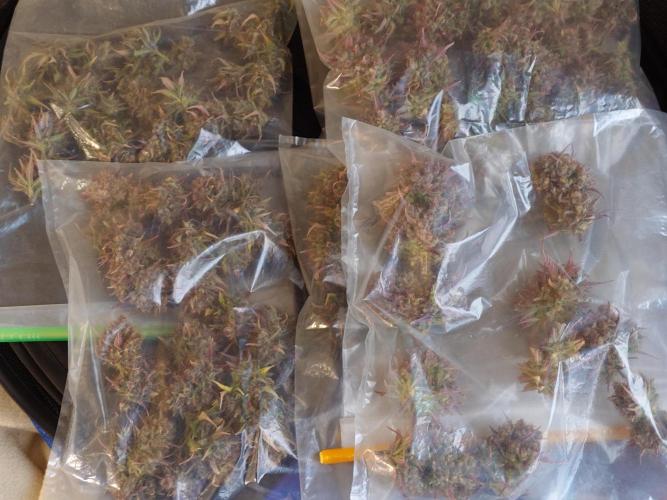 Purple Clouds. Week 10