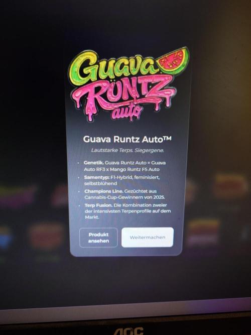 Guava Runtz - Indoor. Week 0