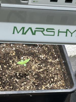 Comment by ANYM420 photo #1