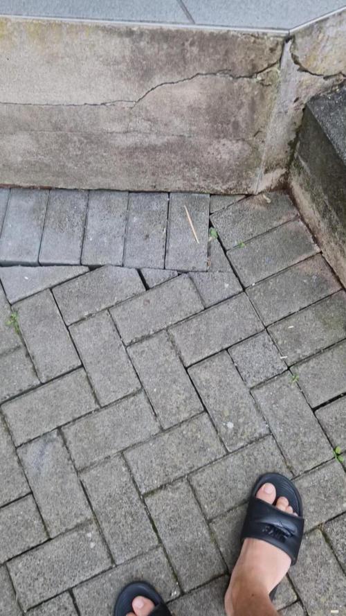 GorillaCookiesPurpleLemonadZtrawberiez