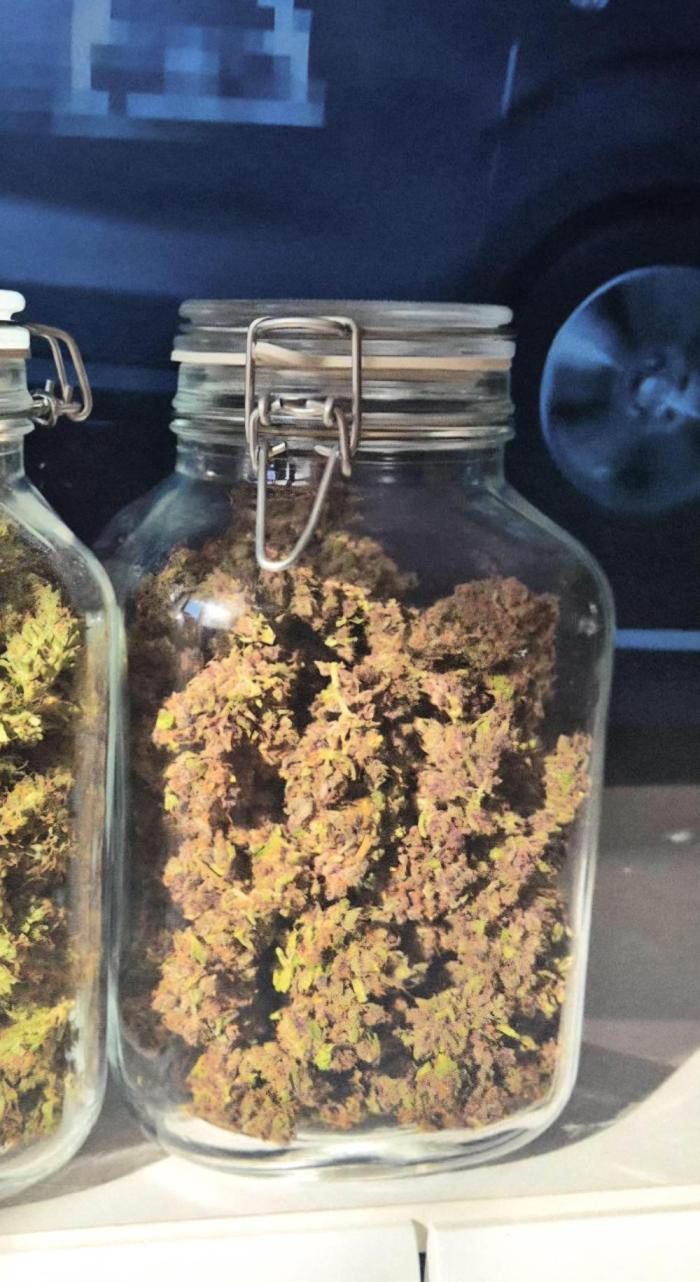 GorillaCookiesPurpleLemonadZtrawberiez. Week 11