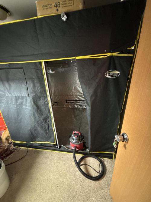 A Mostly Fastbuds Grow. Week 0 - 6.5x7’